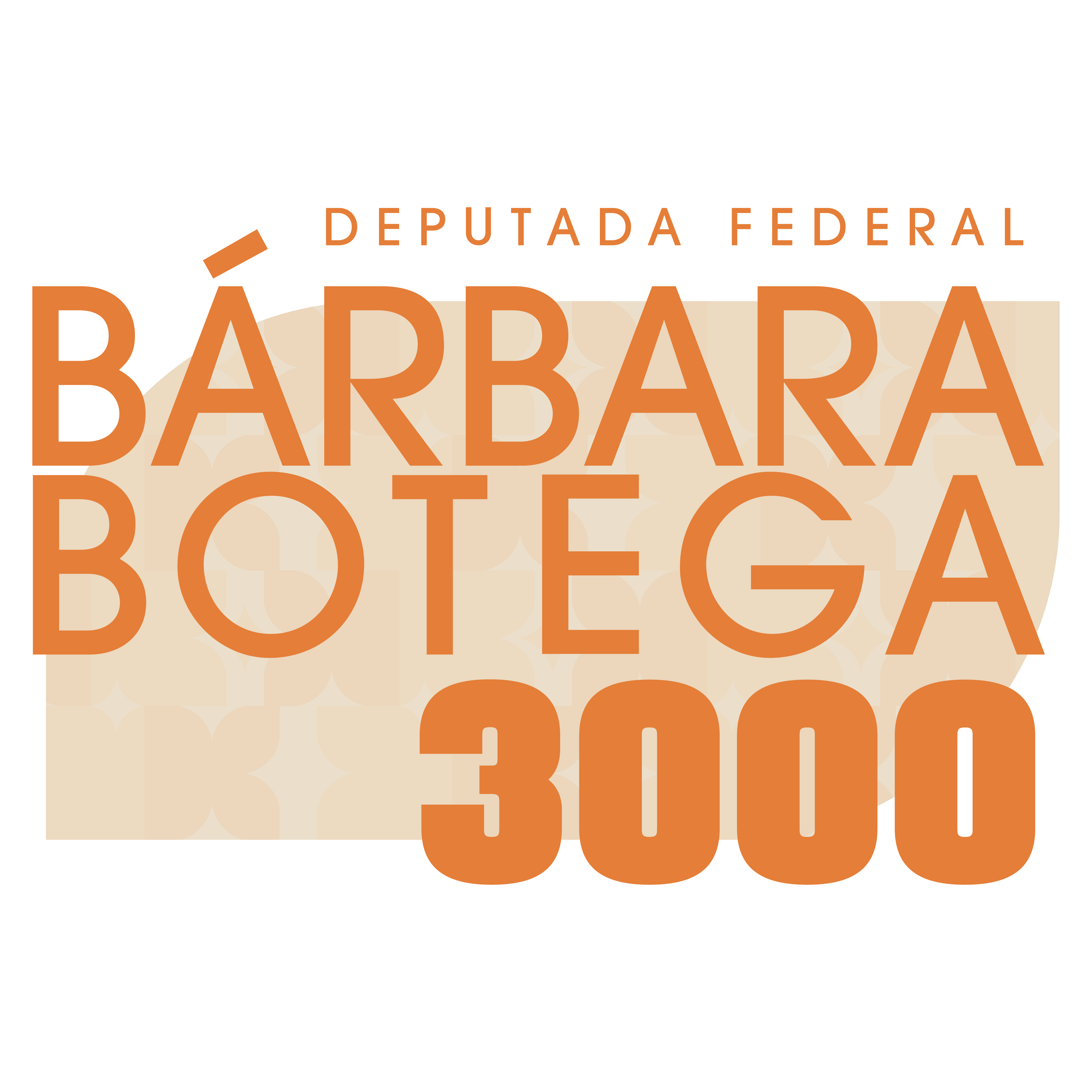 Bárbara Botega 3000 — Deputada Federal